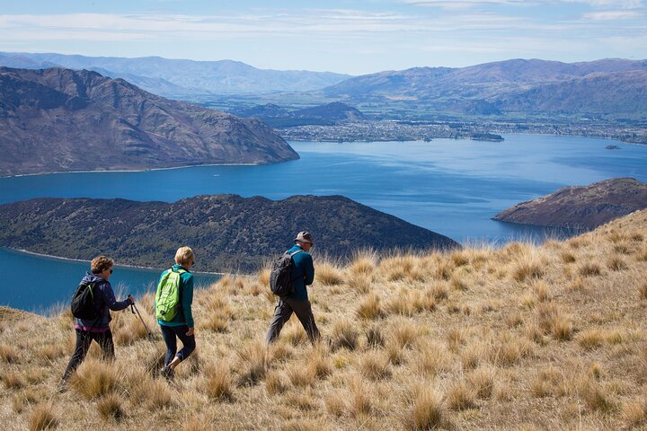 Easy alpine meadow walking